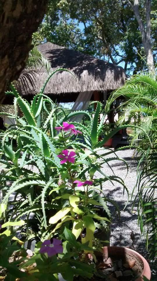 Chale "Oasis" Villa Praia do Forte Ngoại thất bức ảnh