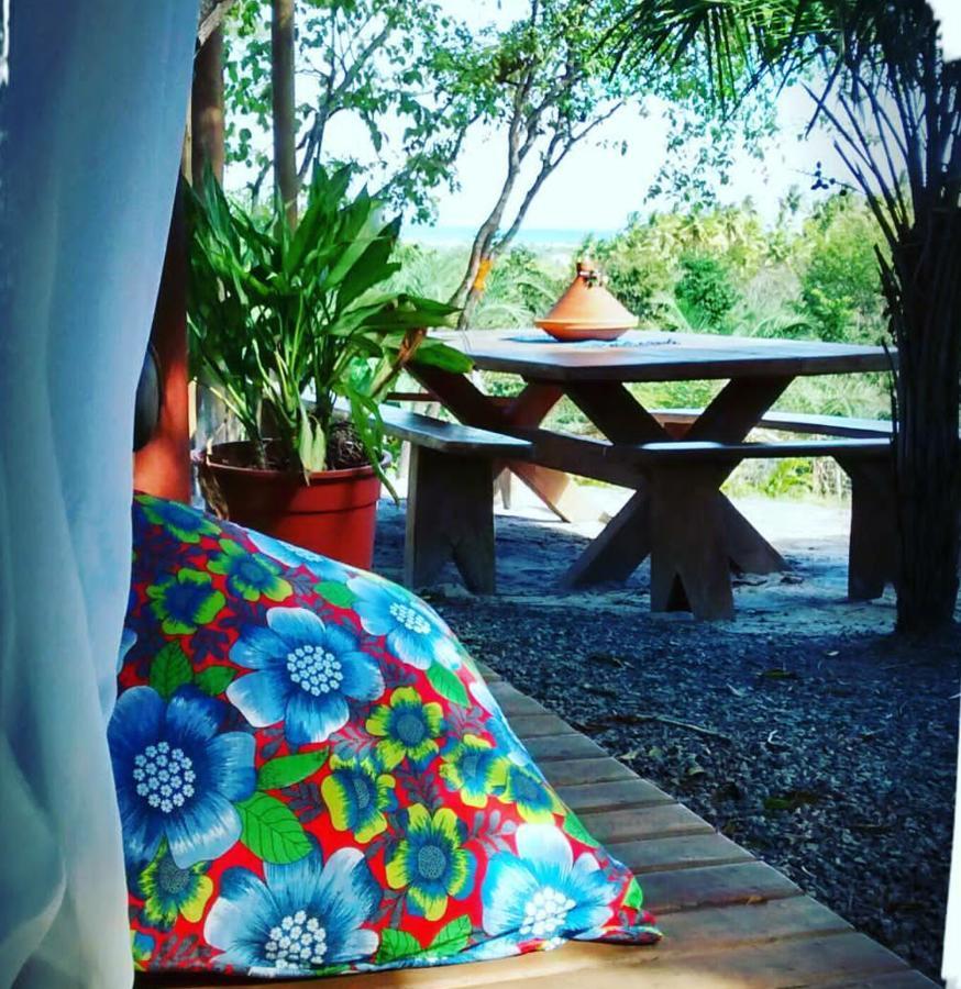 Chale "Oasis" Villa Praia do Forte Ngoại thất bức ảnh