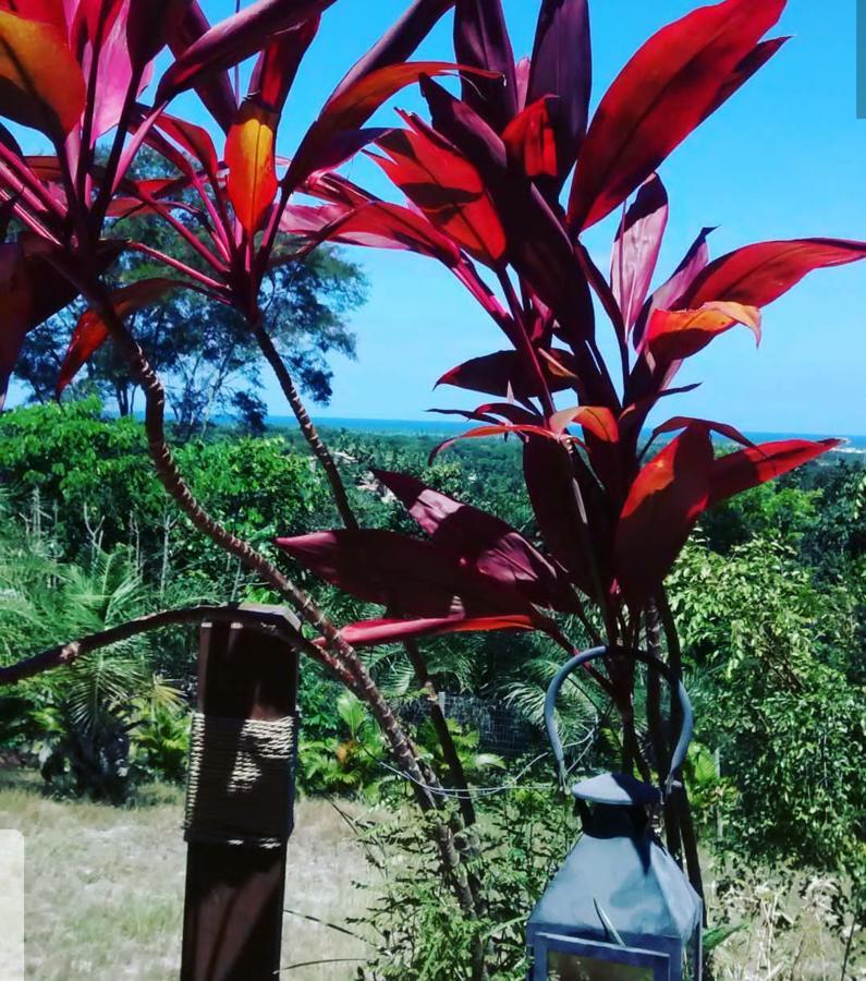Chale "Oasis" Villa Praia do Forte Ngoại thất bức ảnh